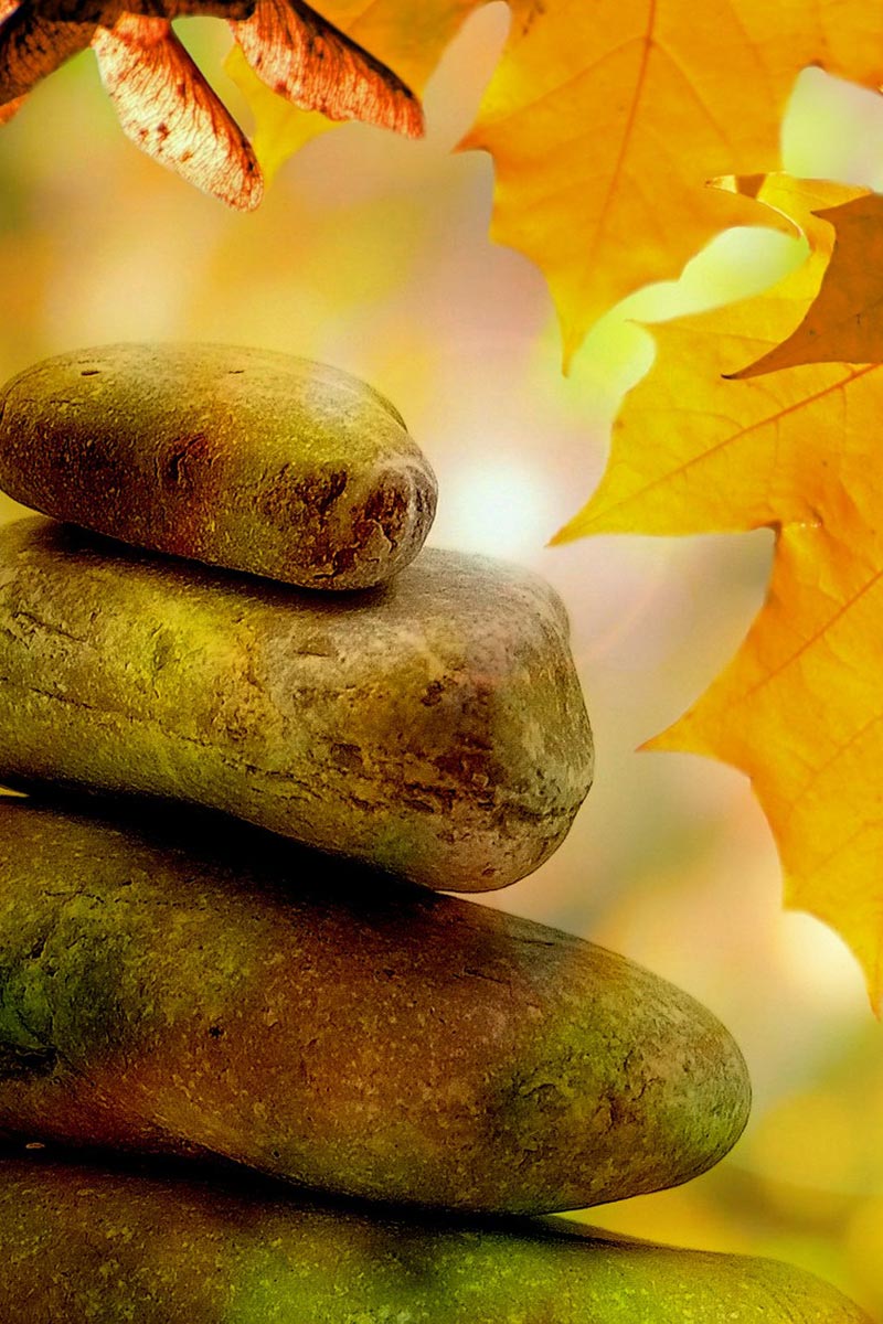 NLP Coaching Rosenheim